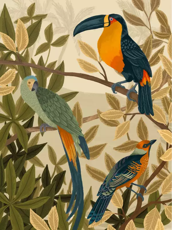 Papier Peint Oiseaux Toucanshexoa