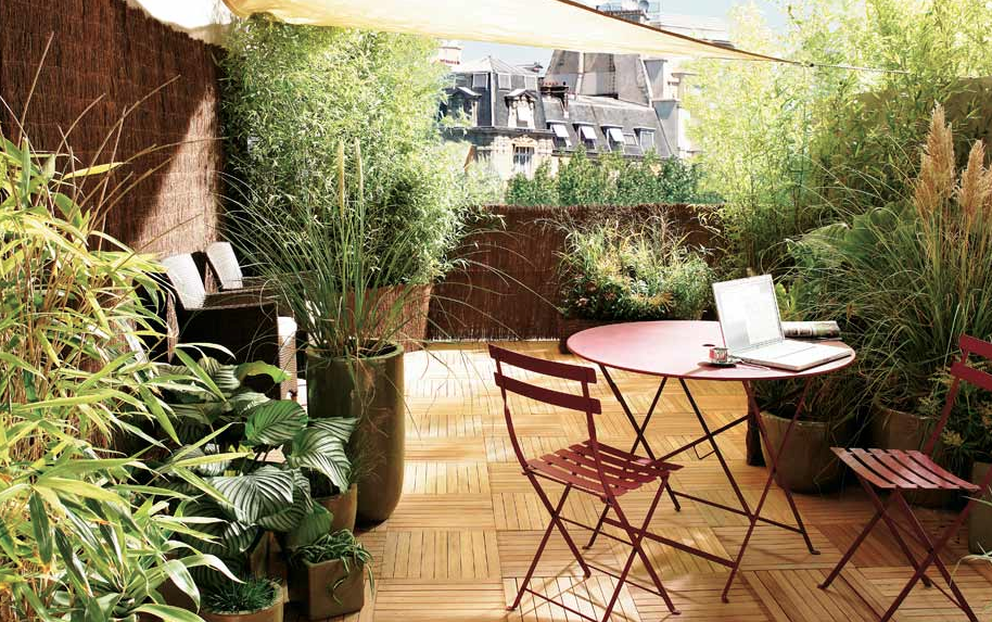 Balcony Privacy with Plants