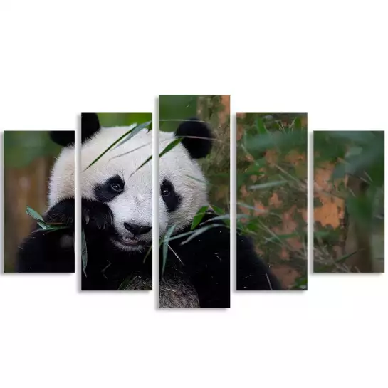 L'heure du bambou - affiche animaux