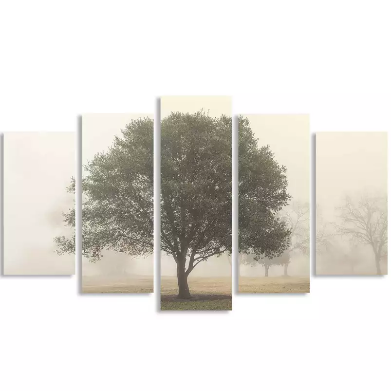 Arbres dans le brouillard - affiche nature