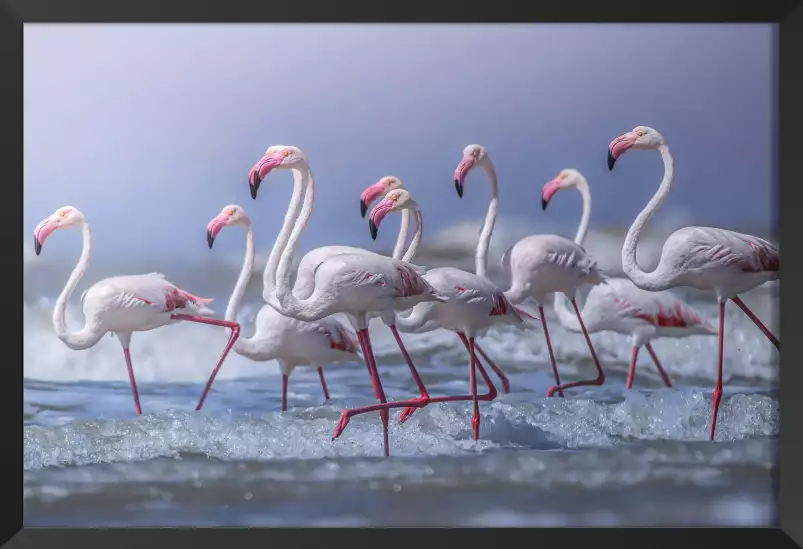 Marathon de plage - affiche animaux