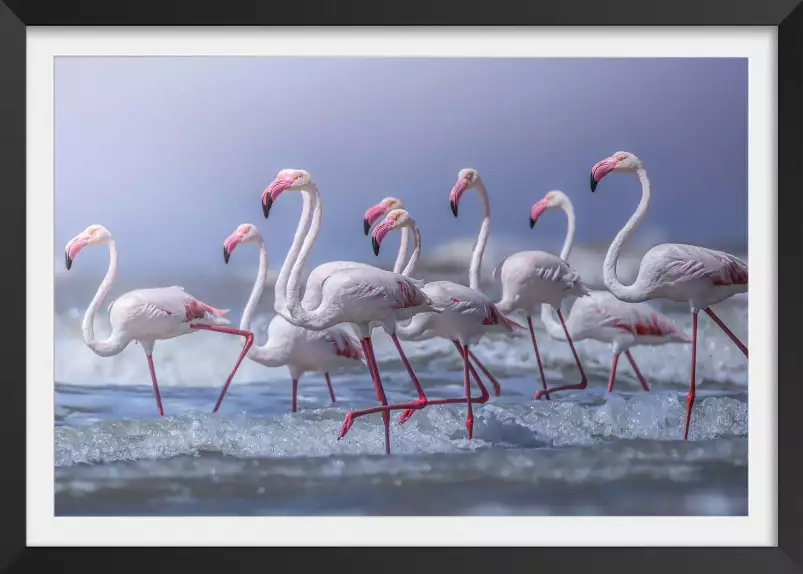 Marathon de plage - affiche animaux