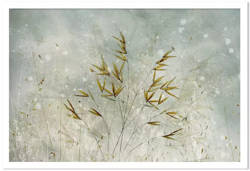 Hiver - poster plantes