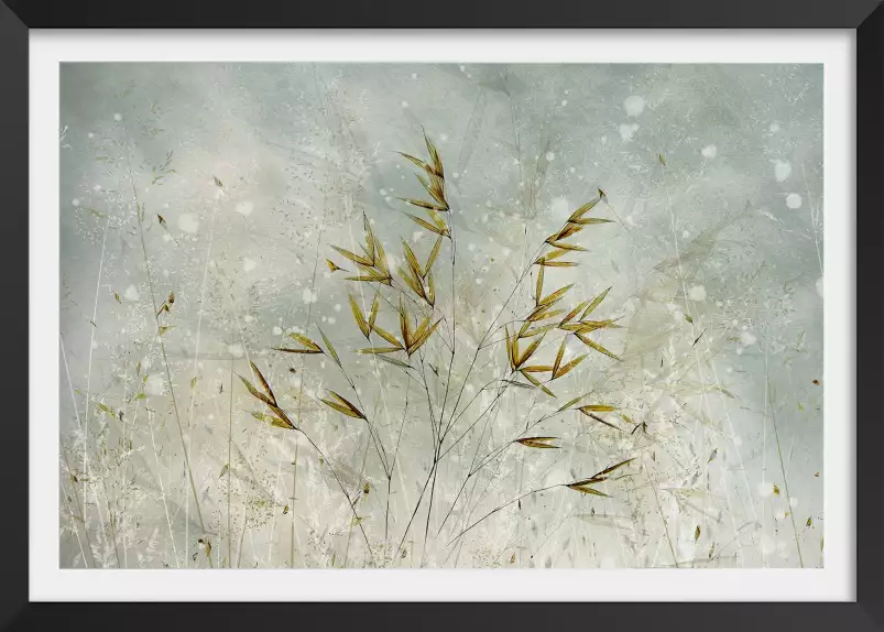 Hiver - poster plantes