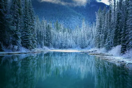 Terre d'hiver merveilleuse - affiche montagne