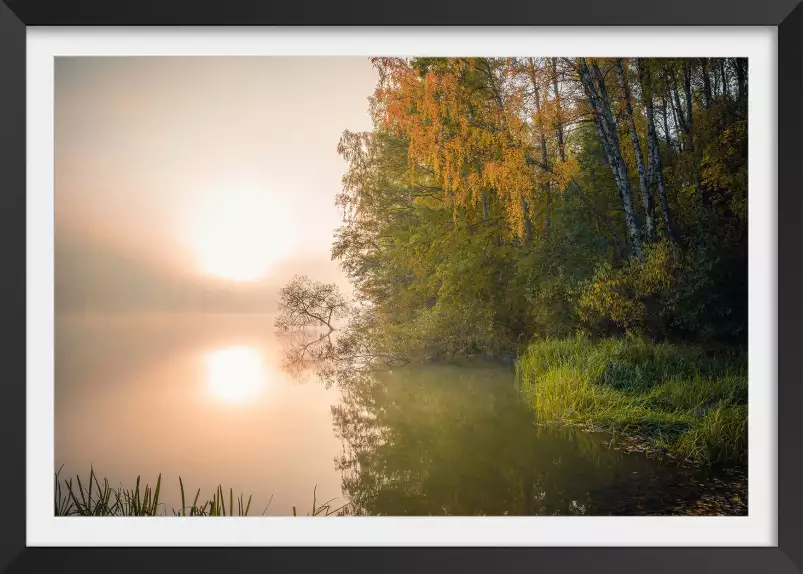 Lac suédois - paysages d'été