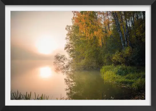 Lac suédois - paysages d'été