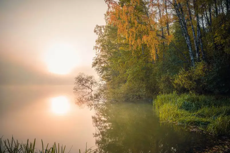 Lac suédois - paysages d'été