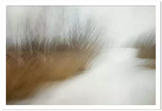 Hiver - paysage hiver