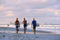 Le blond californien - image surfer