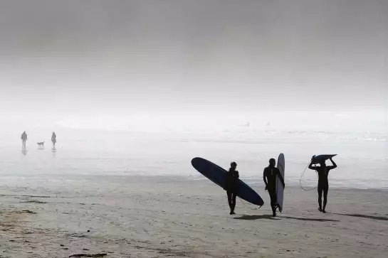 Tableau Déco - Surfeurs Intrépides