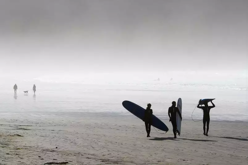 Surf dans la brune - photos noir et blanc célébrités