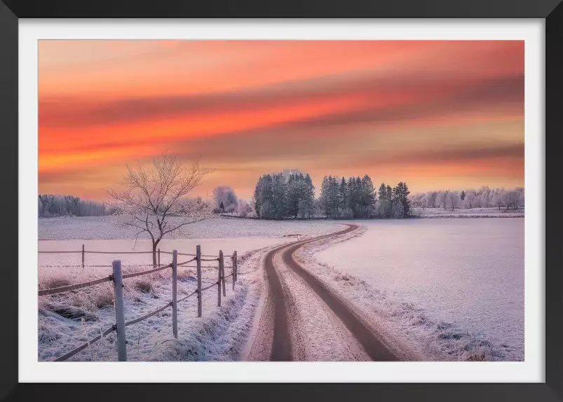 Scène d'hiver rurale - paysage hiver