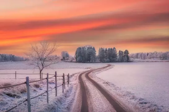 Scène d'hiver rurale - paysage hiver