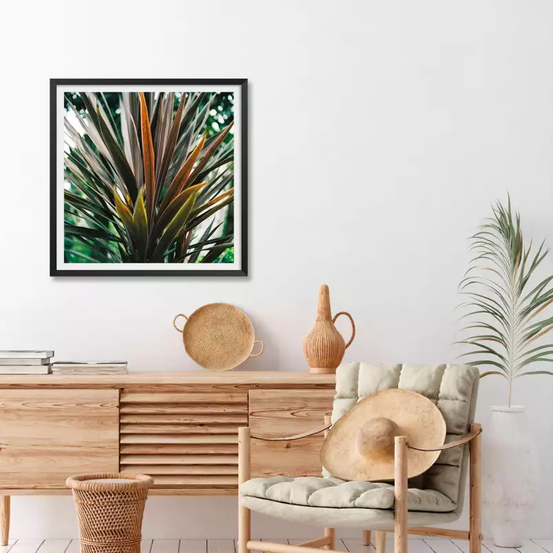 Fleur de yucca et forêt tropicale - affiche plante