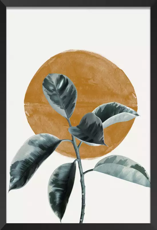 Sun and Ficus - affiche de fleurs