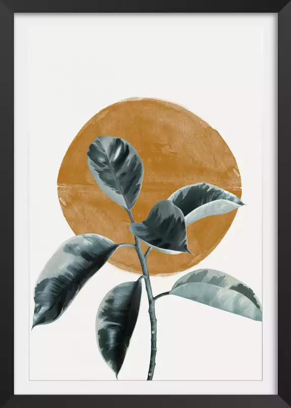 Sun and Ficus - affiche de fleurs