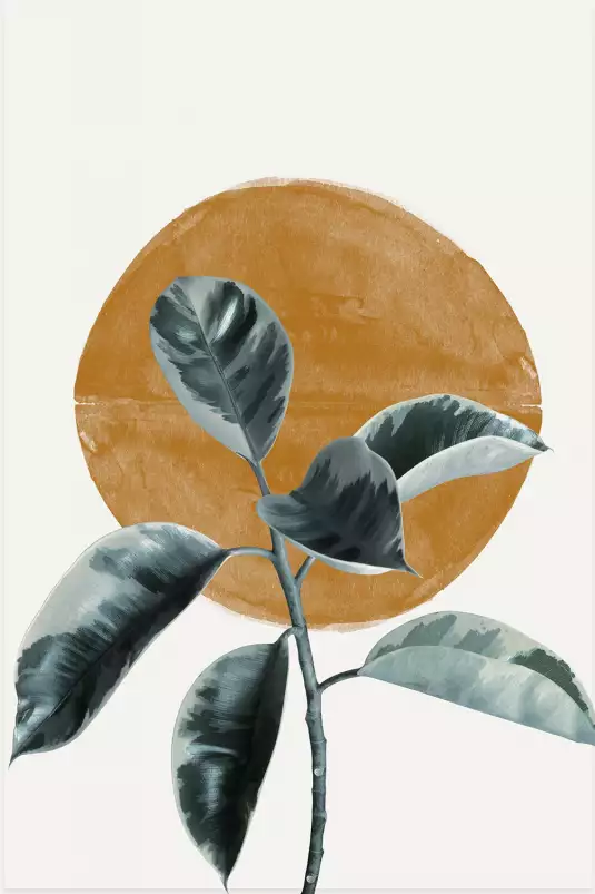 Sun and Ficus - affiche de fleurs