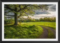 Chemin de campagne - paysage nature