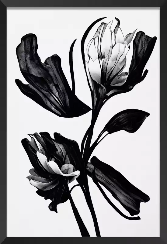 Fleur noire - affiche de fleurs