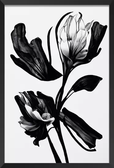 Fleur noire - affiche de fleurs