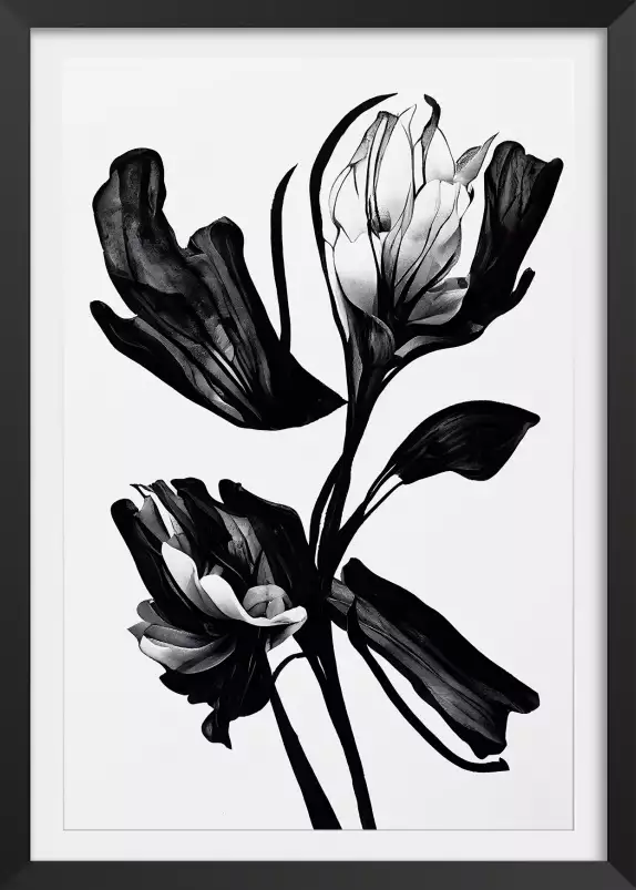 Fleur noire - affiche de fleurs