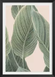 Calla leaf - affiche feuille de palmier