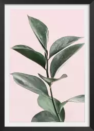 Feuillage sur fond rose - poster plantes