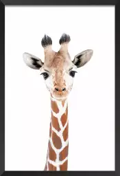 Baby  girafe - affiche animaux