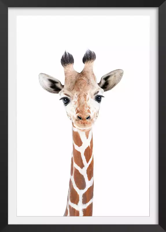 Baby  girafe - affiche animaux