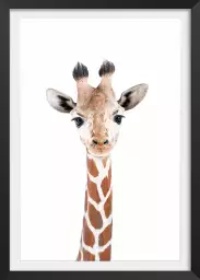 Baby  girafe - affiche animaux