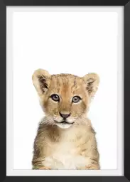 Baby lionceau - affiche animaux