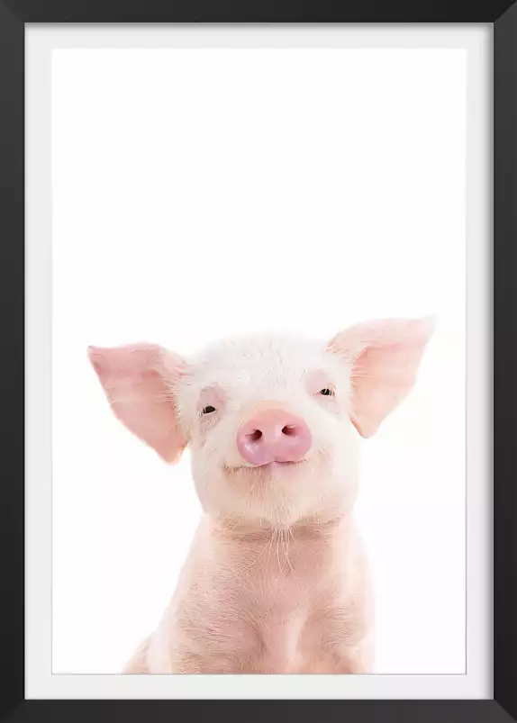 Baby cochon - affiche animaux