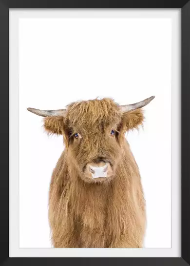 Baby cow - affiche animaux