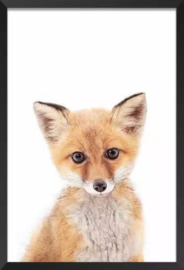 Baby fox - affiche animaux