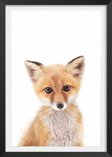 Baby fox - affiche animaux