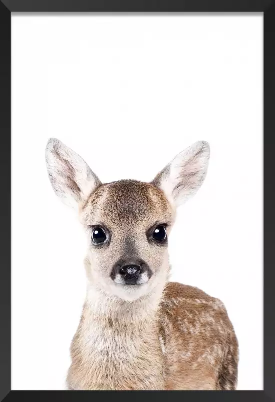 Baby biche - affiche animaux