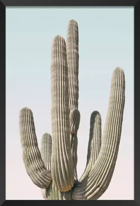 Saguaro - affiche cactus