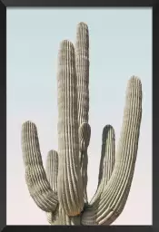 Saguaro - affiche cactus