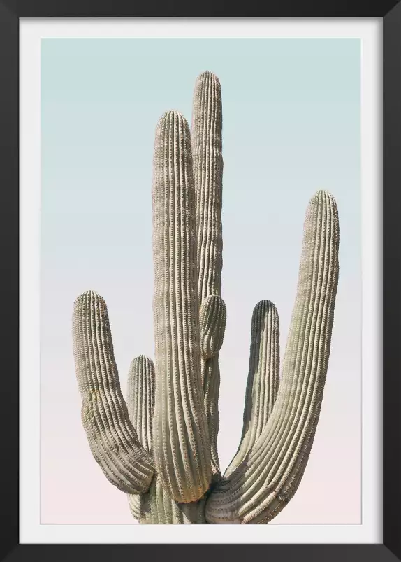 Saguaro - affiche cactus