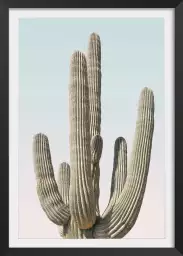 Saguaro - affiche cactus