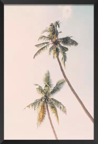 Tropical palms - affiche botanique palmier