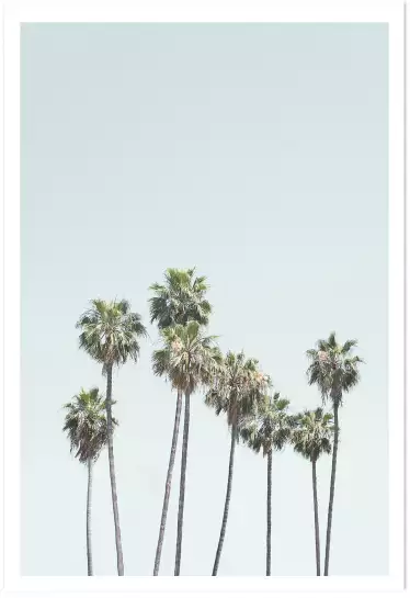 Blue palm trees - affiche botanique palmier