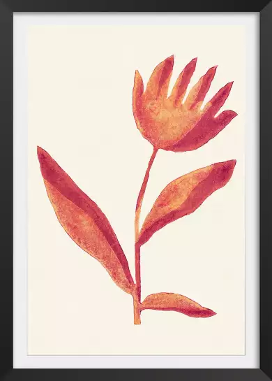 Fleur viva magenta - affiche de fleurs