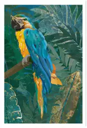 Blue parrot - affiche perroquet