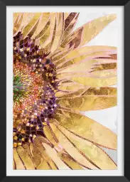 Golden sunflower - affiche de fleurs