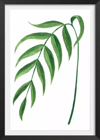 Branche de leire - affiche plante verte