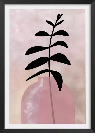 Dame jeanne rose - affiche plantes