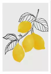 Lamya lemons - affiche fruits