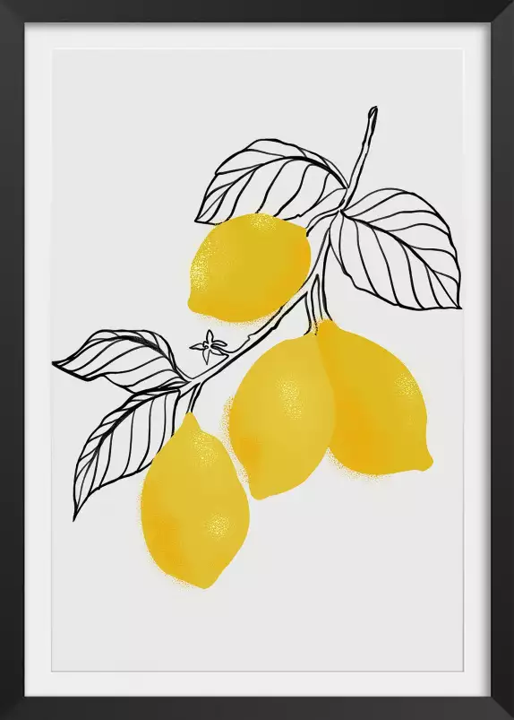 Lamya lemons - affiche fruits